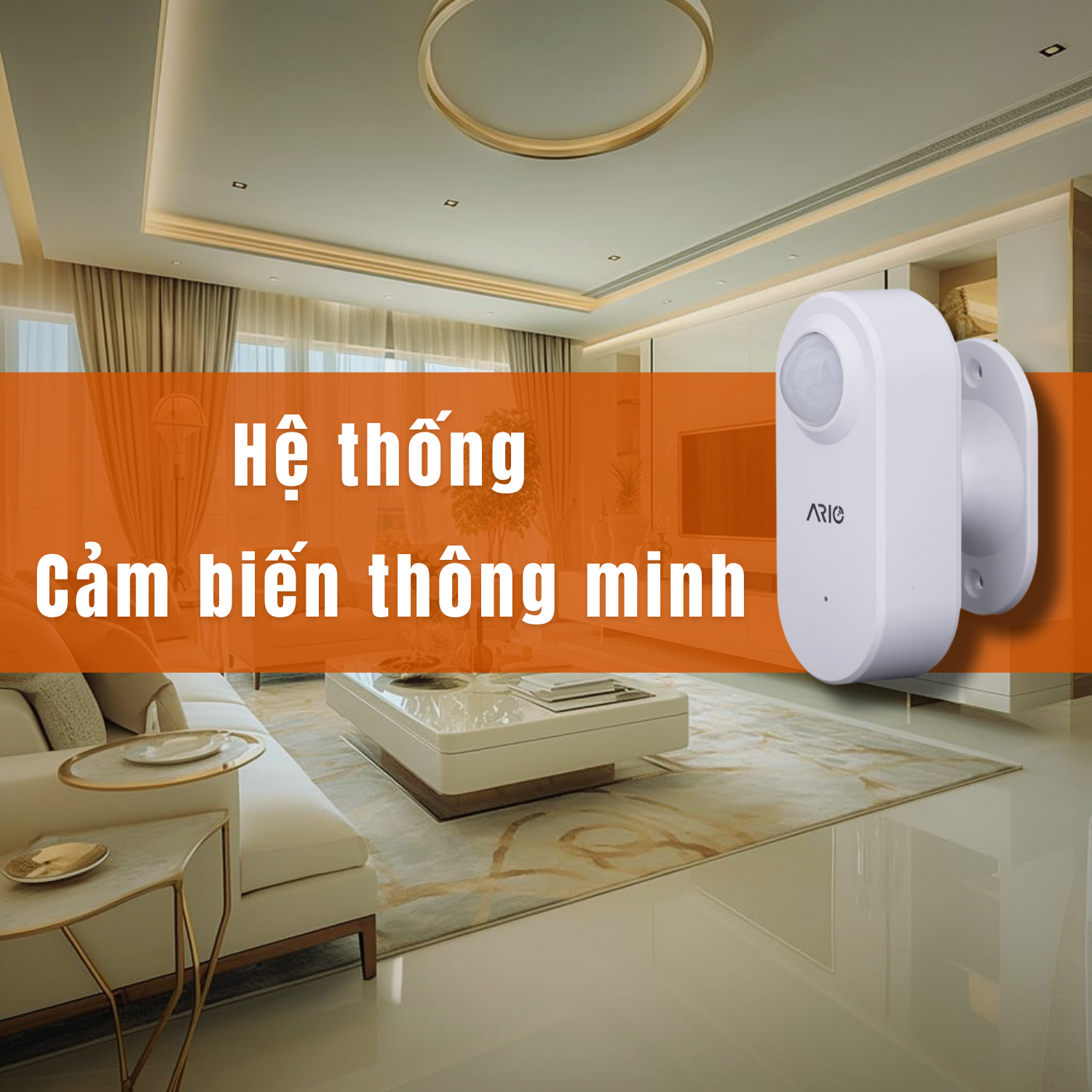 thiết bị tanggo24h (4)